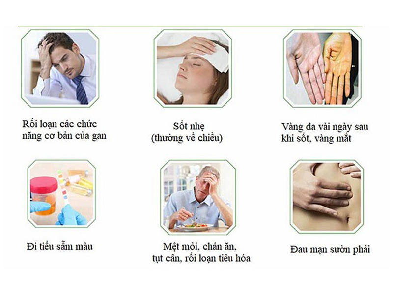 5-trieu-chung-tren-co-the-bao-hieu-benh-xo-gan-dang-den-rat-gan