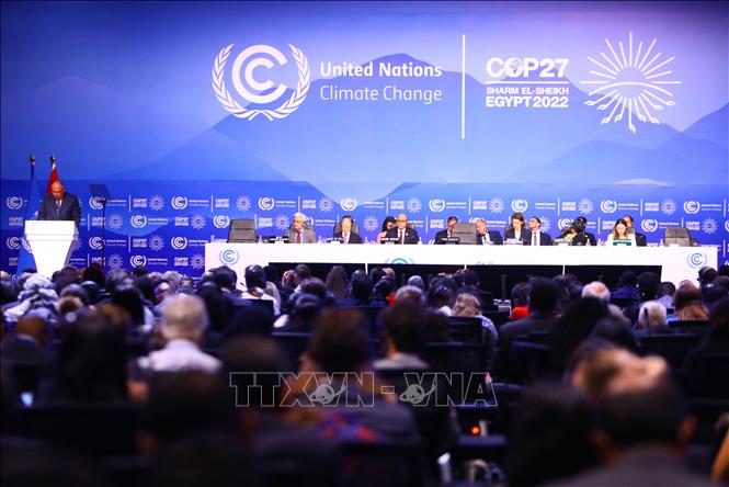 cop27-07102022-1