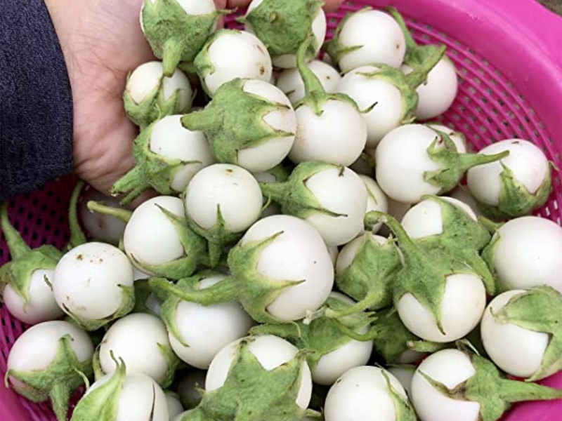 loai-qua-nguoi-viet-cho-la-doc-nhung-o-nhat-ban-coi-nhu-than-duoc