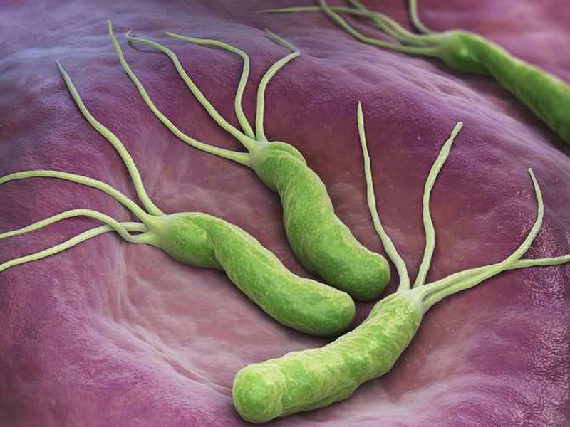 nhung-thuc-pham-giup-ban-triet-ha-vi-khuan-hp-gay-ung-thu-da-day